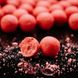 Бойли ROBIN Варені Strawberry-Sour Pear 20mm 0.1kg (насадочні)
