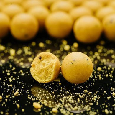 Бойли ROBIN Варені Corn Honey 24mm 1кг (Акція)
